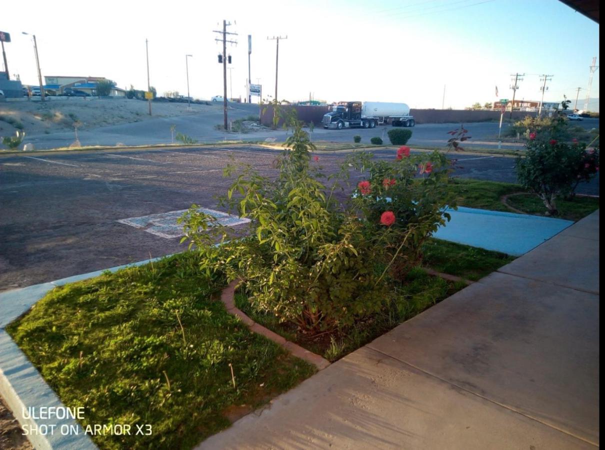 Willcox Extended Inn And Suites Buitenkant foto